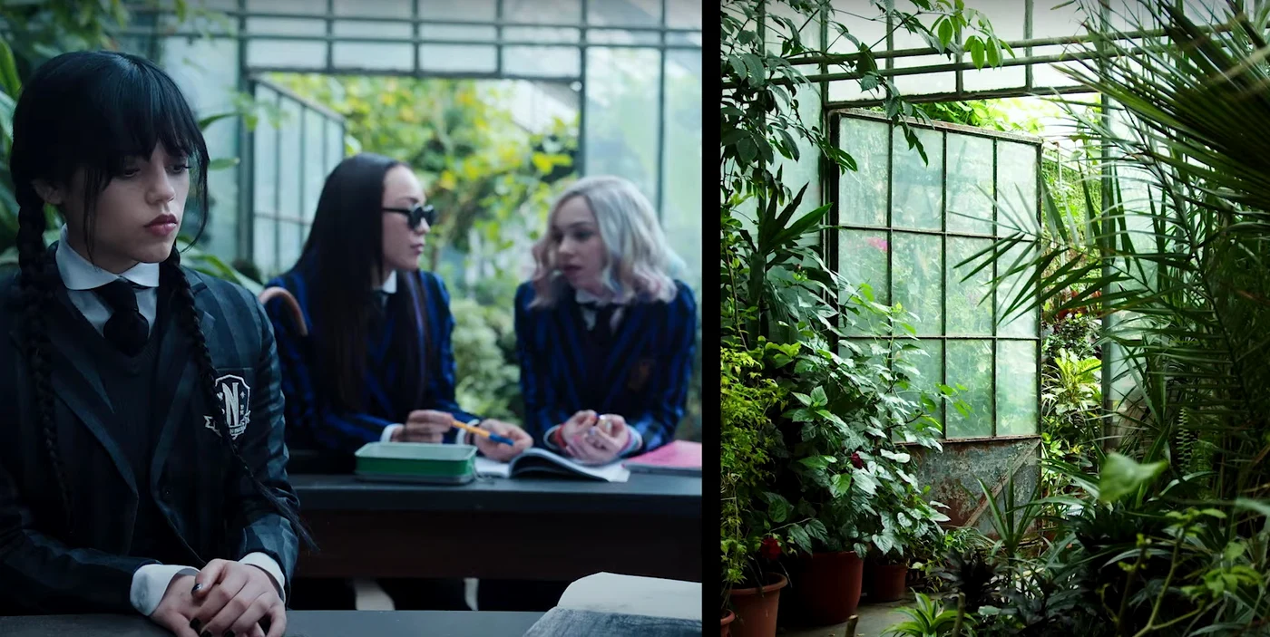 Grădina Botanică din București, cadrul Wednesday, Netflix (stânga)