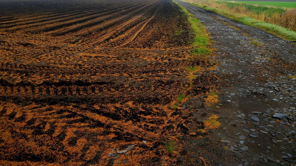 Parcelă de teren agricol în Vladimirescu Arad cu semne de delimitare, ilustrând teren agricol preț și tranzacții terenuri agricole recente | sursa foto: Click