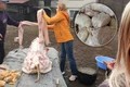 banner valentina serban jpg