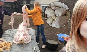 banner valentina serban jpg