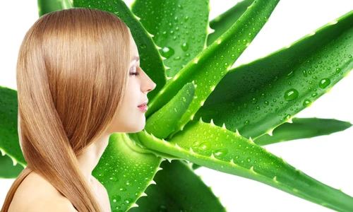 1 plante care ajuta la cresterea parului jpg jpeg