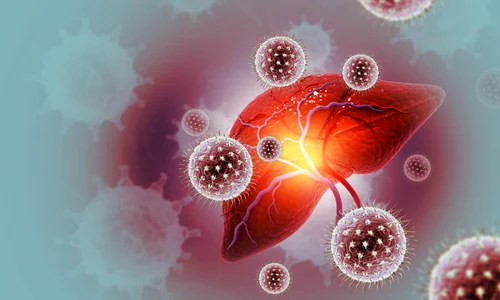 shutterstock 2366402989 jpg