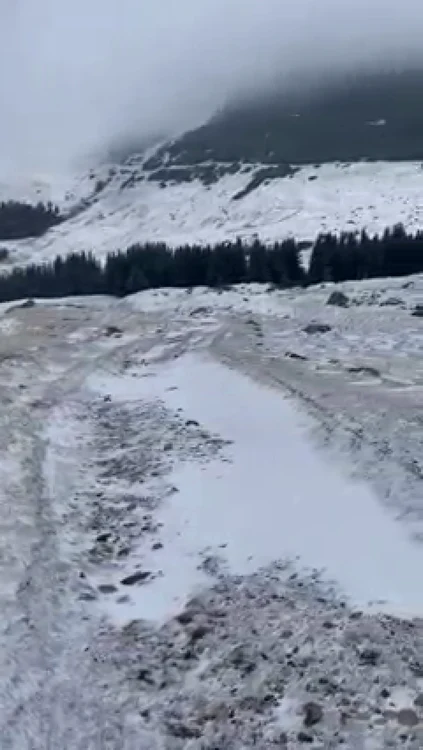 iarna bucegi