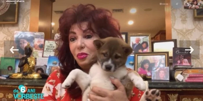 Carmen Harrafoto: arhivă personală