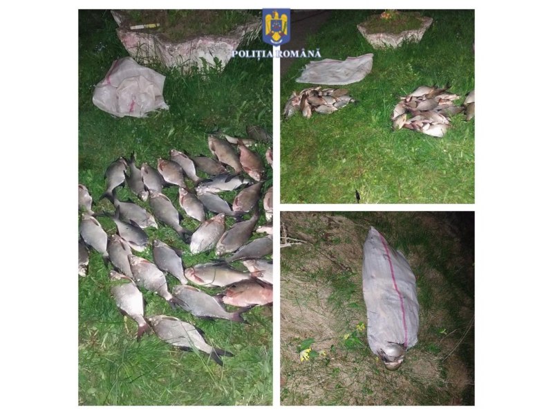 În toiul nopţii, la „muncă“ pe lacul de acumulare de la Bicaz, în Neamţ. A fost deranjat de poliţişti