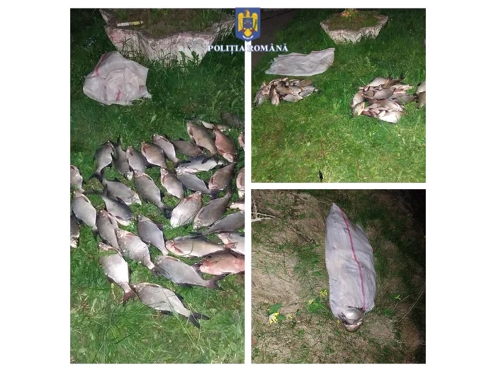 Suspectul prinsese caras și plătică FOTO Poliția Neamț