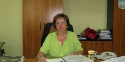 Satu Mare: Funcţionar cu salariu de nabab