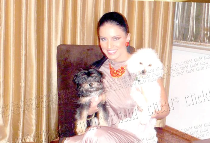 Cei doi căţeluşi ai Adelinei, Mon Cher (în stânga) şi Nobby