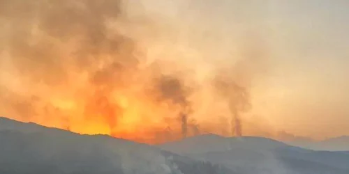 incendiu de vegetatie in Spania foto x png