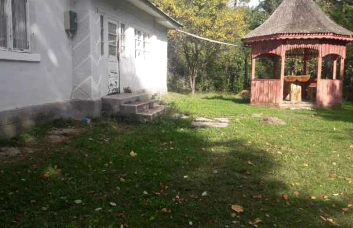 cabana directia silvica