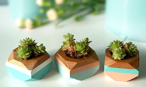 1 66613 original jpg jpeg