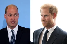 Prințul William și Prințul Harry Foto Profimedia jpg