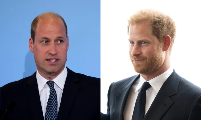 Prințul William și Prințul Harry Foto Profimedia jpg