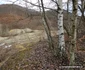 Satul Muncelu Mic din Hunedoara Foto Daniel Guță ADEVĂRUL (15) jpg