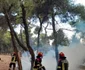 Pompieri români în Grecia FOTO Facebook / IGSU - Inspectoratul General pentru Situatii de Urgenta, Romania  