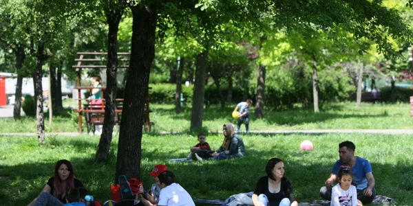 E bine să ne ferim de insecte când ieşim la iarbă verde jpeg