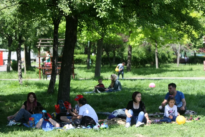 E bine să ne ferim de insecte când ieşim la iarbă verde