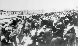 tren plin cu prizonieri duși în lagărul de la Auschwitz FOTO GettyImages jpg