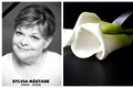 sylvia nastase jpg