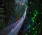 Podul Suspendat Capilano din Vancouver jpeg