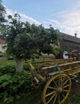 ȘvabenLand FOTO Ștefan Both