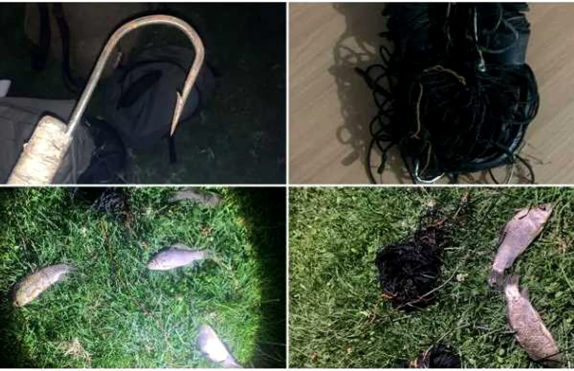 Braconierii au fost surprinşi cu unelte ilegale la ei Foto: AJVPS Alba