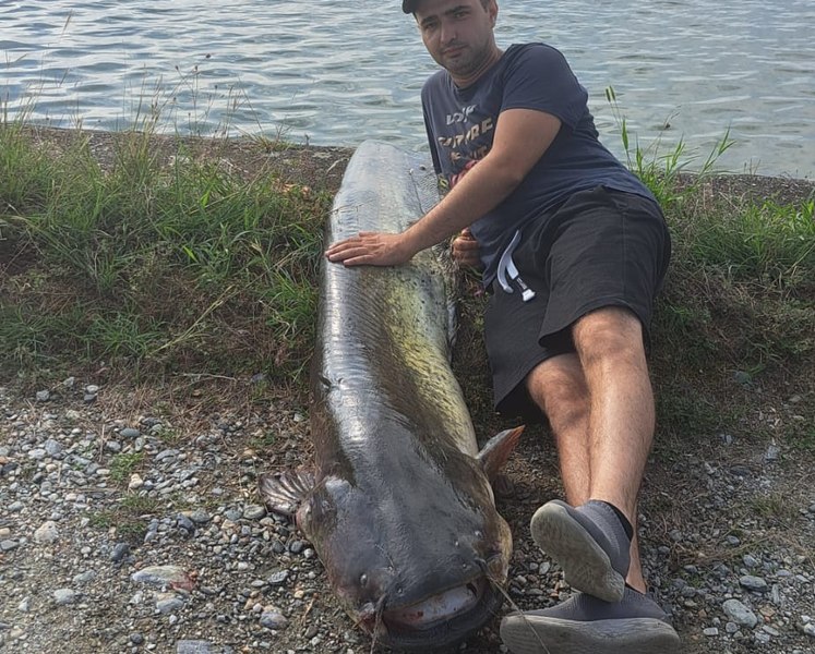 A prins monstrul! Captură impresionantă a unui pescar din Sibiu: un somn de 2 metri. Cum a reușit să îl scoată din lac