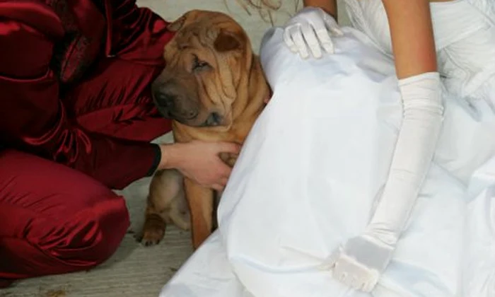 calin si lavinia jpg