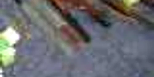 Magistratul este cercetat pentru că a împrumutat o armă de vânătoare