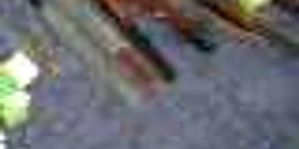 Magistratul este cercetat pentru că a împrumutat o armă de vânătoare