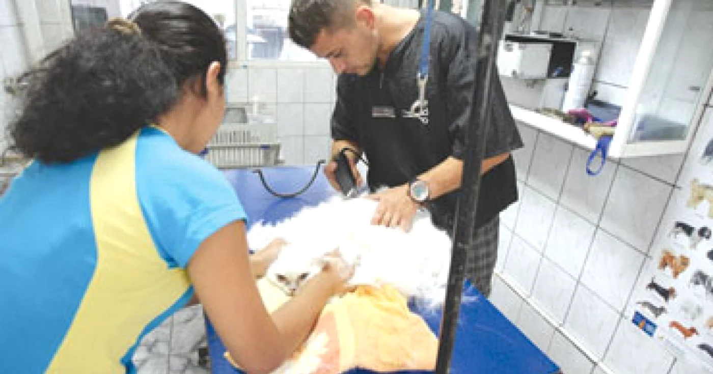 Constanta: Şi animalele merg la saloane de frumuseţe