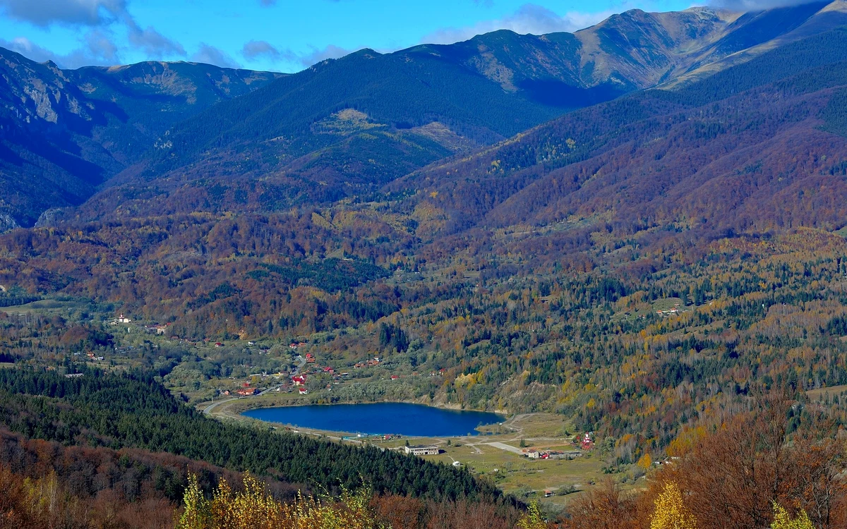 Câmpul lui Neag. Foto: Savu Emil Milică