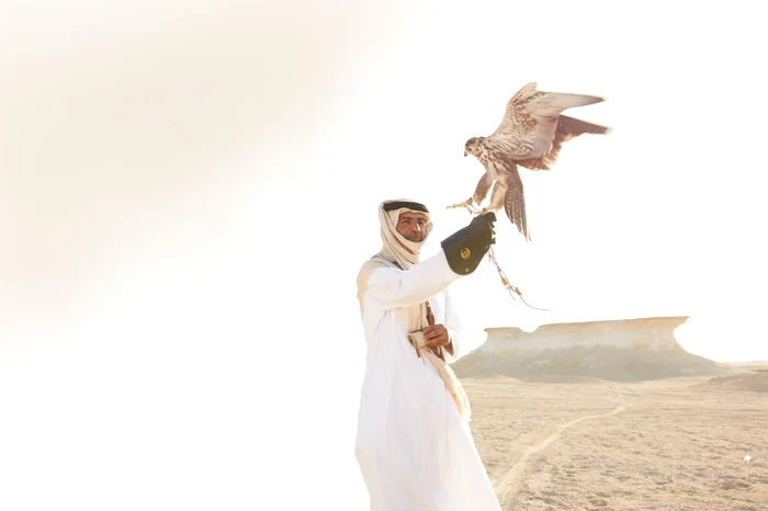 cu șoimul foto Discover Qatar jpg