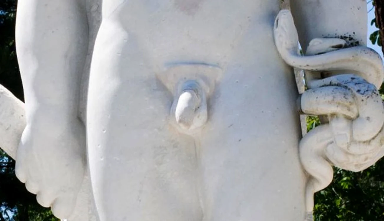 
    Această statuie are un penis detașabilFoto Metro.co.uk  