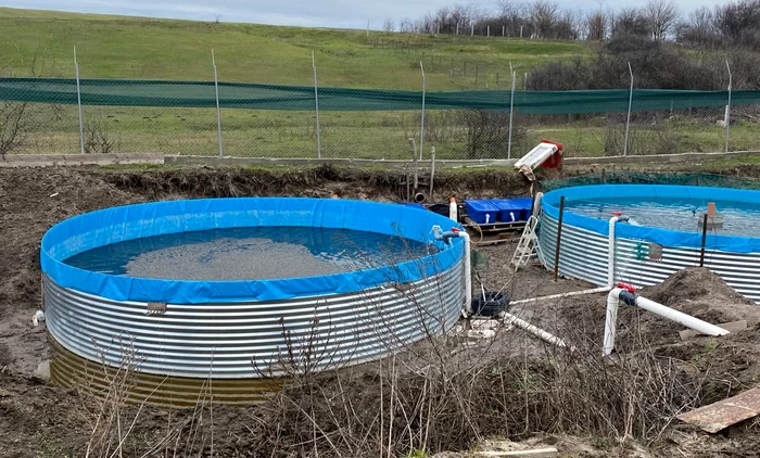 Păstrăvăria ilegală a preotului FOTO: Apele Române Jiu