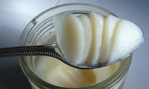 1 untura de bursuc png png