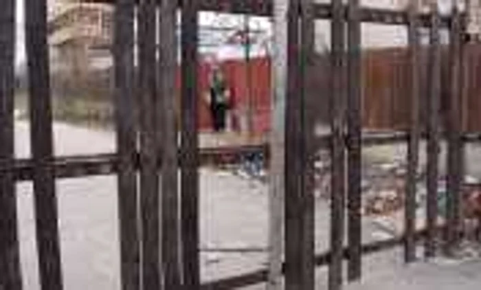 Gheorghe Grigorescu, captiv în propria ogradă