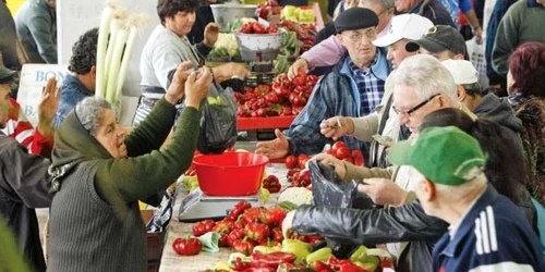 În prezent, micii fermieri care vând direct produsele în pieţe nu plătesc impozit pe venit   