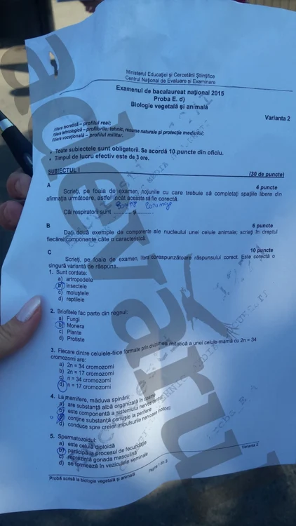 subiecte bac 2015 biologie 