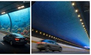 BeFunky collage   2026 02 04T220909 769 jpg