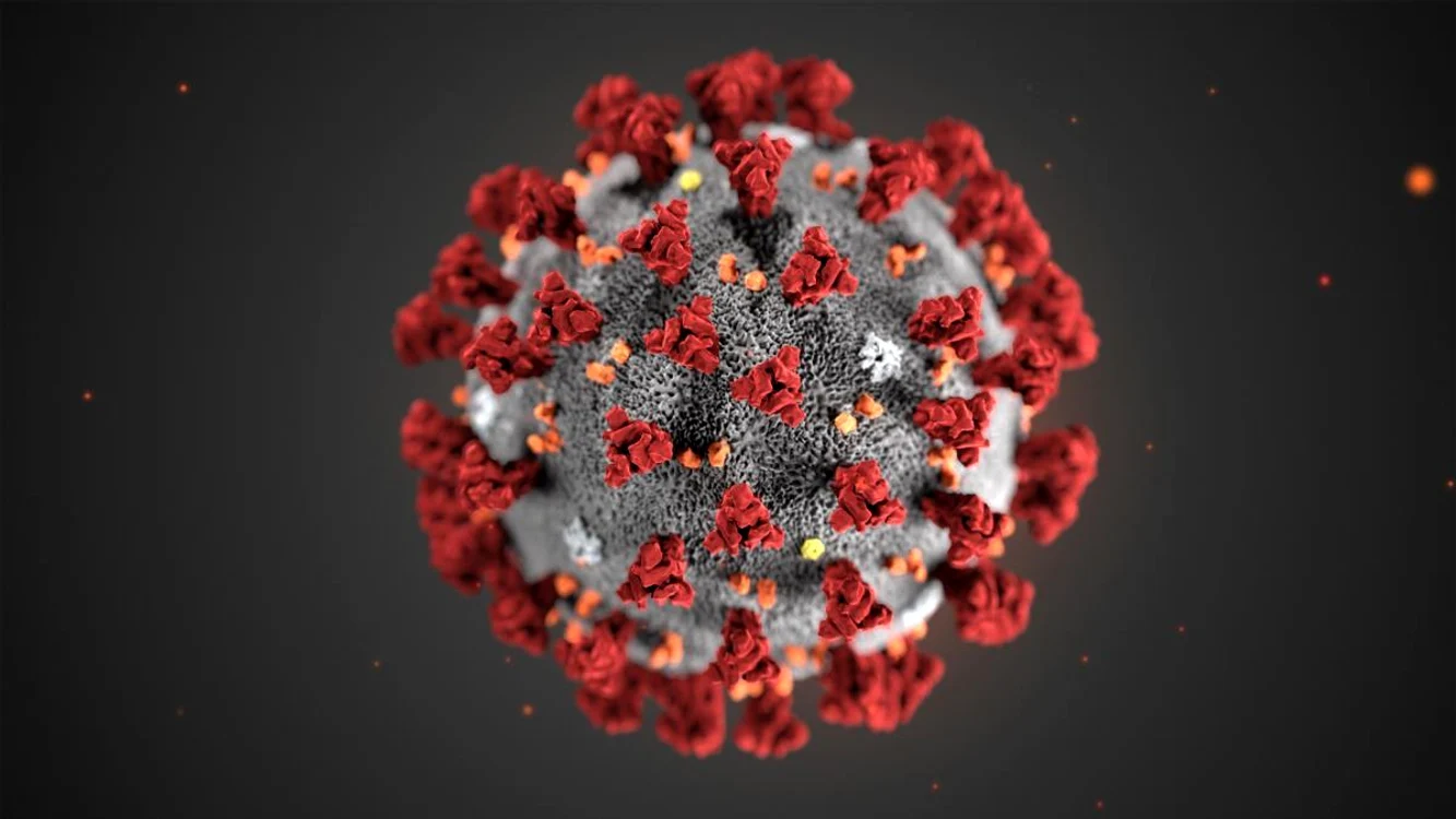 1 noul coronavirus jpg jpeg