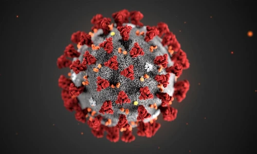 1 noul coronavirus jpg jpeg