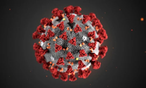 1 noul coronavirus jpg jpeg