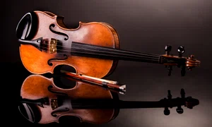 1 vioara shutterstock 57788665 jpg jpeg