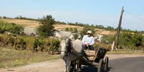 Căruţaşii nu au dreptul să-şi scoată vehiculele pe şoselele moderne, recent reparate/ Foto: Dumitru Goncear