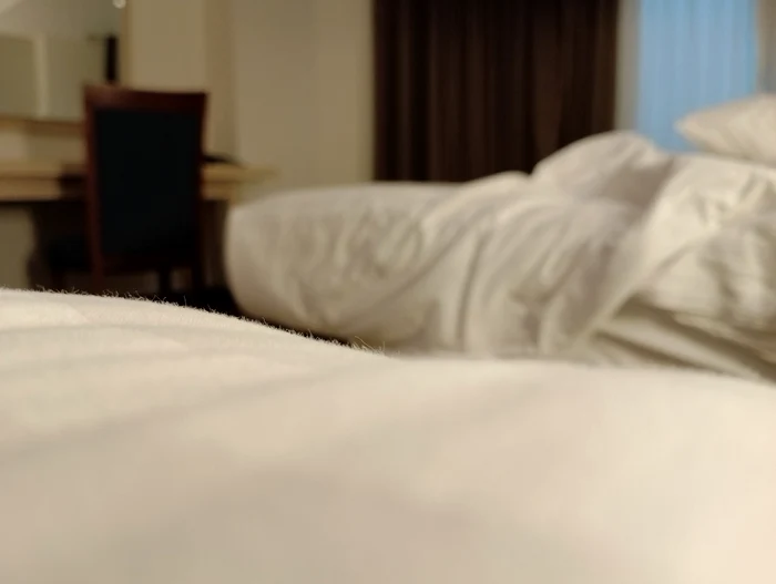 Cameră de oaspecți