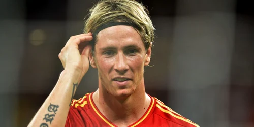 fernando torres