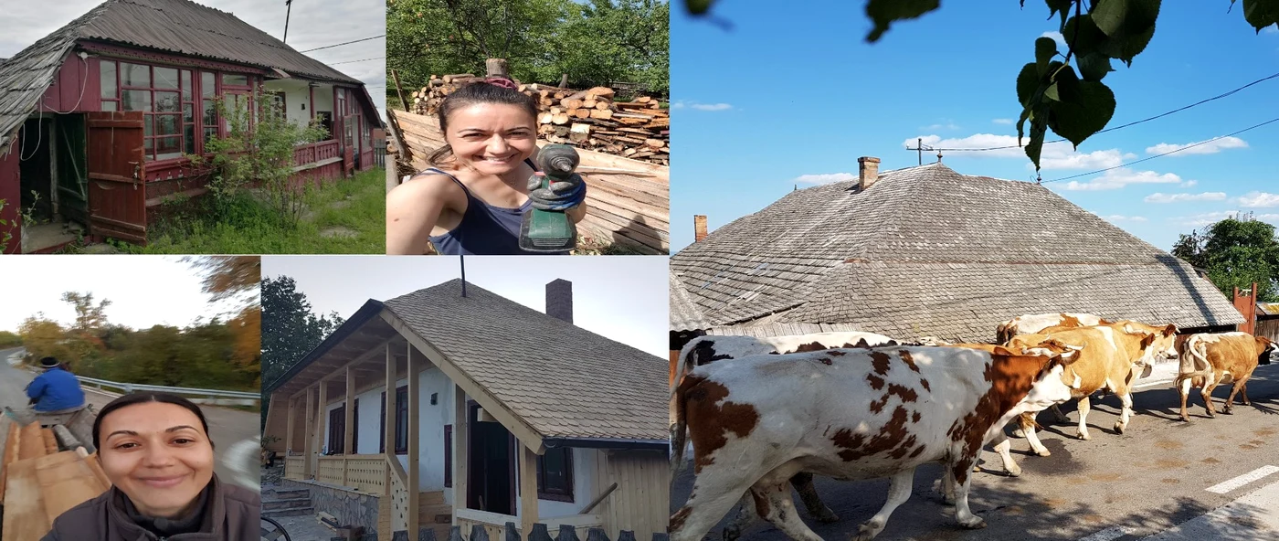Eliza și noua sa viață la țară FOTO Colaj Facebook