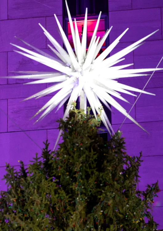 Steaua Swarovski din vârf (Foto: Profimedia)