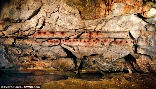 pictura rupestra foto daily mail